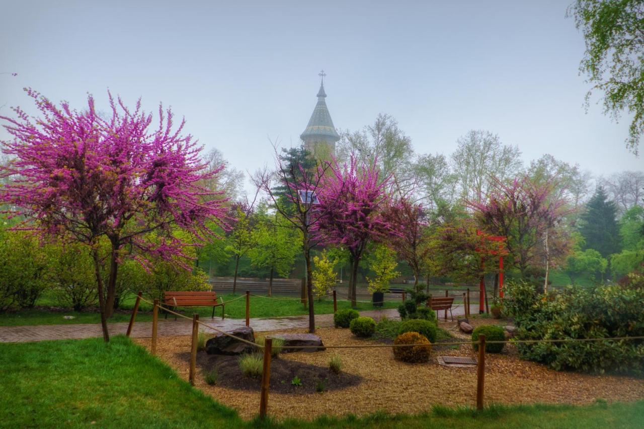 Take Pro Timisoara Apartment Dış mekan fotoğraf